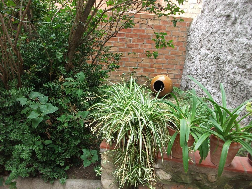 Ca La Paula Villa Pla del Panadés Exterior photo